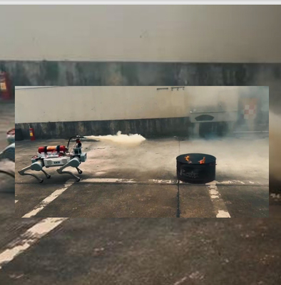 Ultraleichtes, geschicktes, kollaboratives Roboterarm, Fernbinden mit Explosionsschutzeinrichtungen